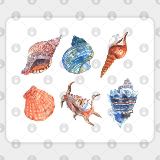 Shell Collection Sticker by Mako Design 